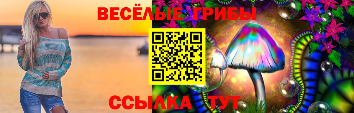Киреевск  Галлюциногенные грибы мухоморы  Вход с VPN  Галлюциногенные грибы Psilocybine cubensis 